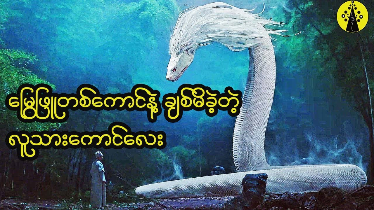 အမျိုးသားငယ်တစ်ယောက်ဟာ မြွေဖြူတစ်ကောင်နဲ့ချစ်မိခဲ့ပြီး လူသားတွေရဲ့ရန်ကနေ သူမကိုကယ်တင်ဖို့ကြိုစားခဲ့