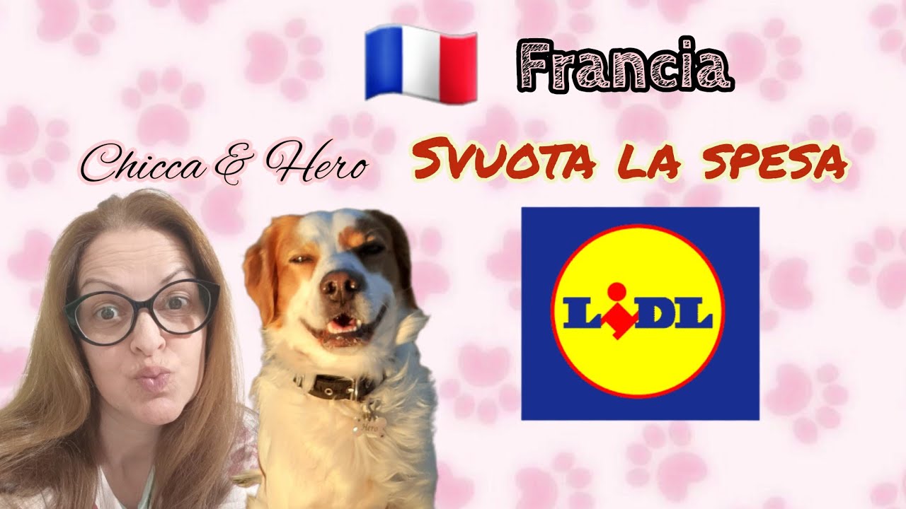 🇫🇷LIDL FRANCIA🛒Svuota la spesa🛒