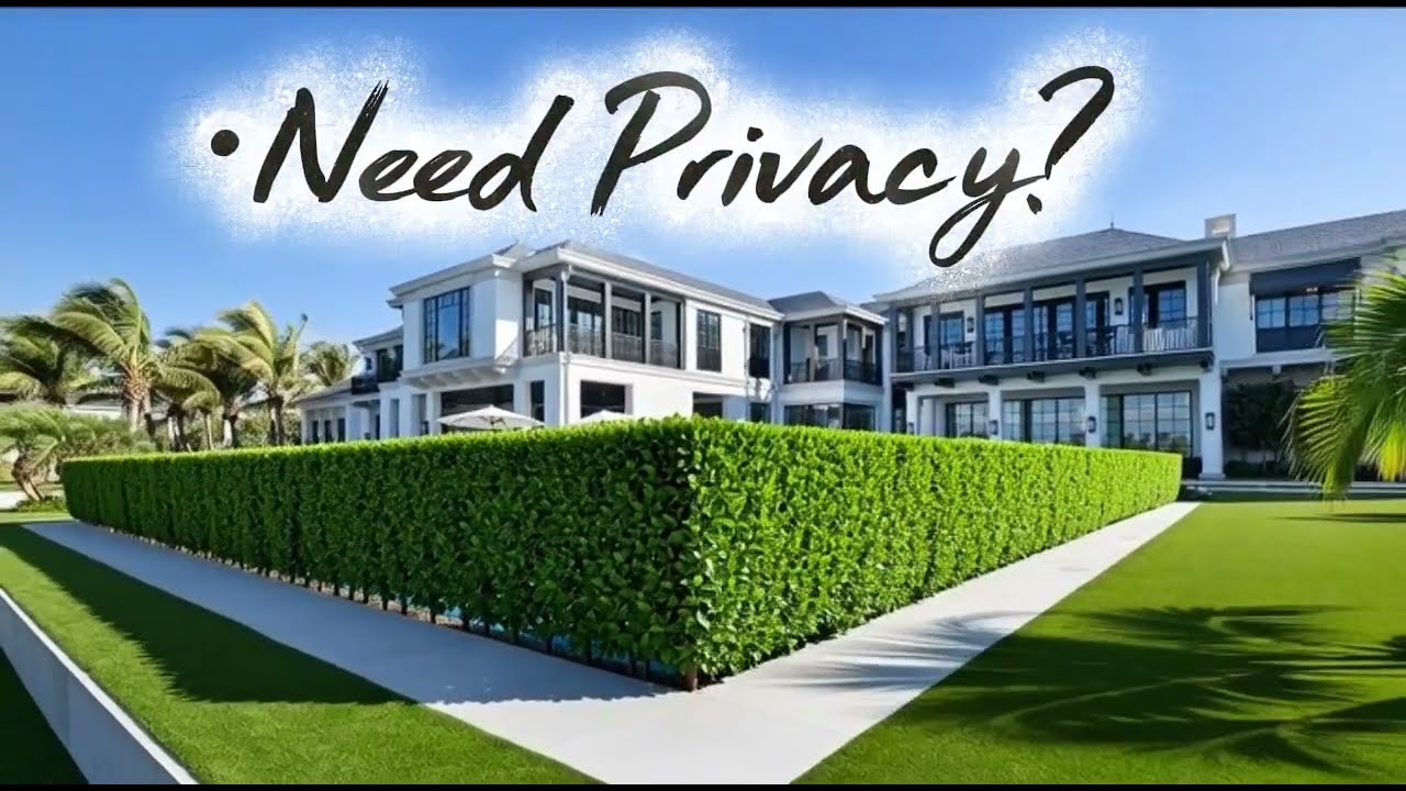 ●PRIVACY HEDGES & MORE!