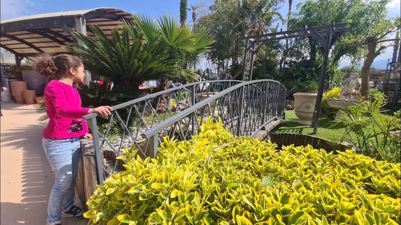pépinière fleurs et plantes et arbres avec prix le jardinage pour meilleures esprits  .