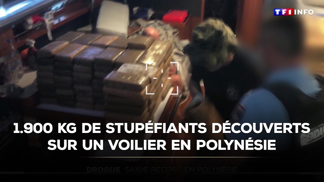 Drogue : saisie record en Polyn&eacute;sie fran&ccedil;aise｜TF1 INFO