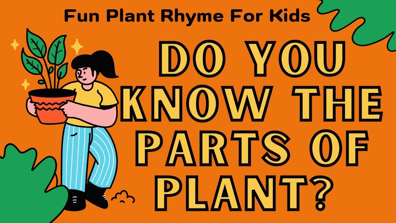 🌱 Do You Know the Parts of a Plant? | Fun and Educational Plant Rhyme for Kids 🌿