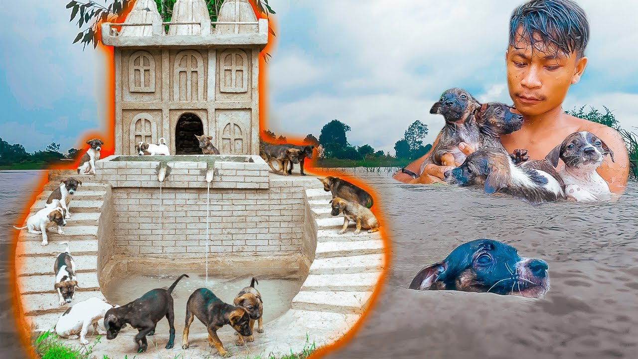 Dog Rescue From Unknown Flood Build Safety Mud House & Mini Fish Pond