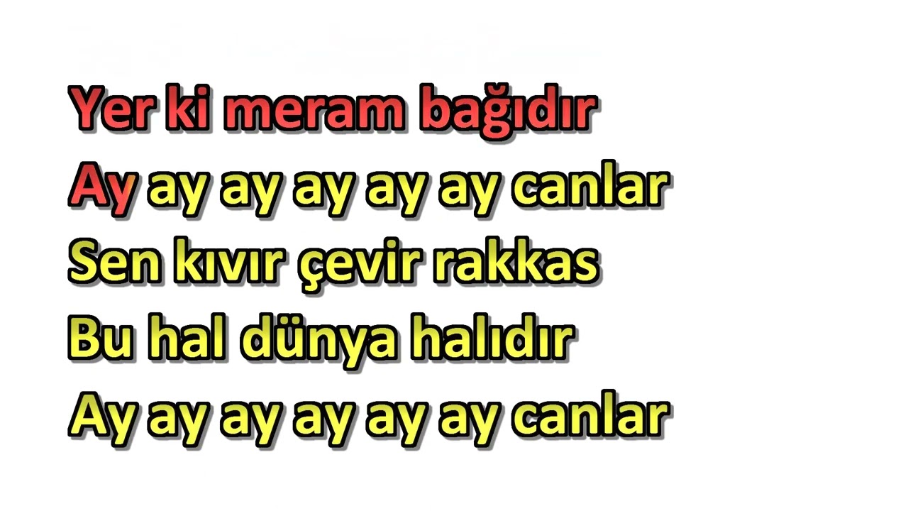 Sezen Aksu   Rakkas karaoke