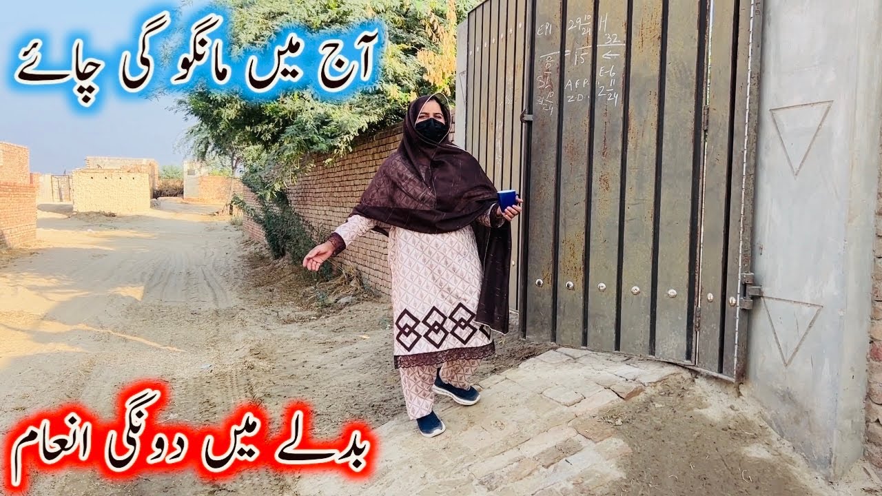 Aj Meny Social Experiment Kiya ||Laraib With Mohsin