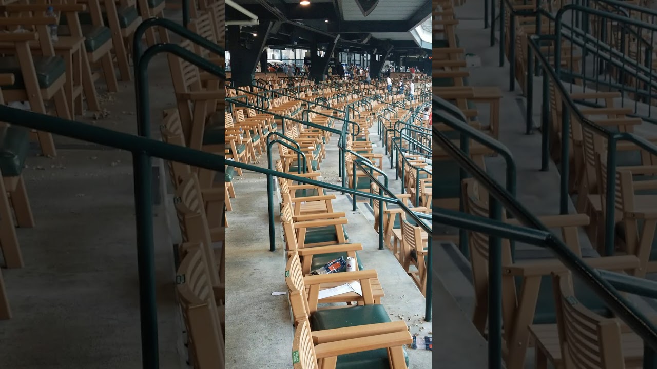 Tiger Den Comerica Park review