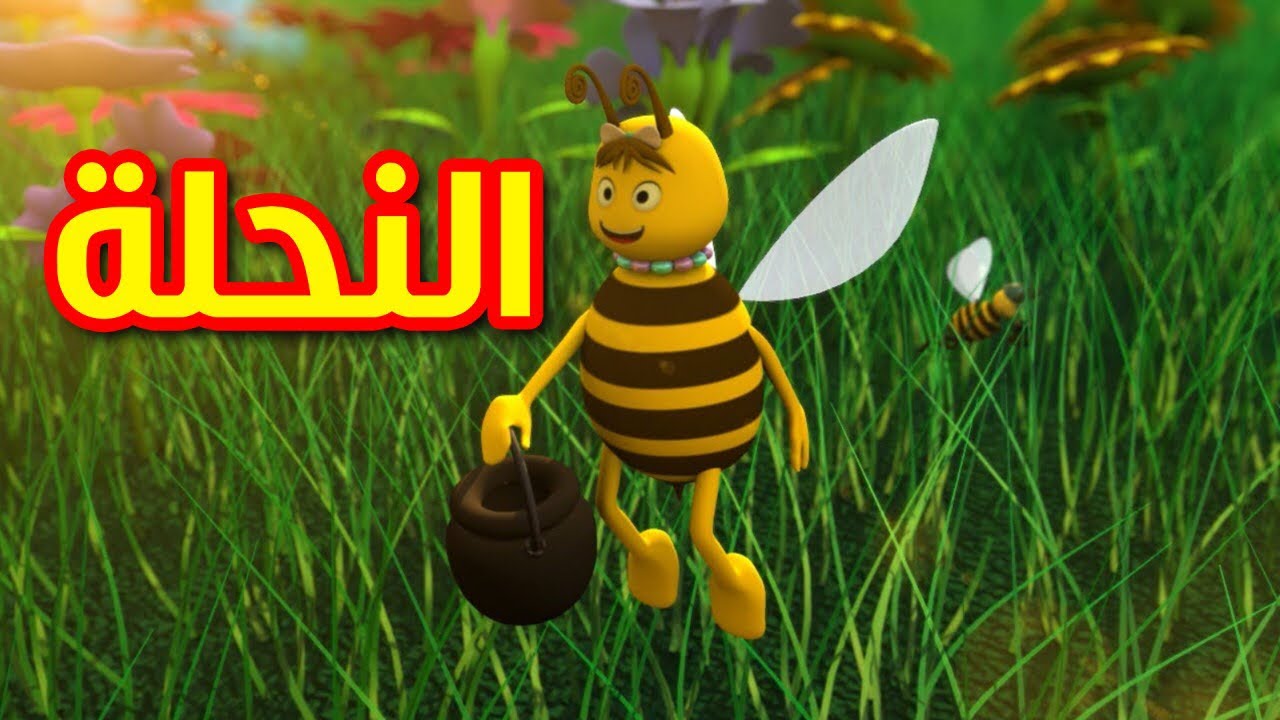 النحلة - طيور بيبي | Toyor Baby