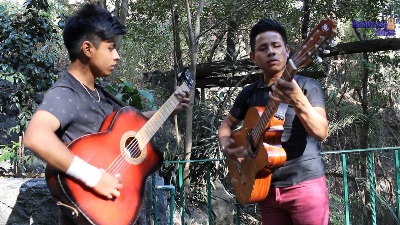 La luz de tus ojos //Los morros sierreños Josue y David //Cover Armadillos de la Sierra