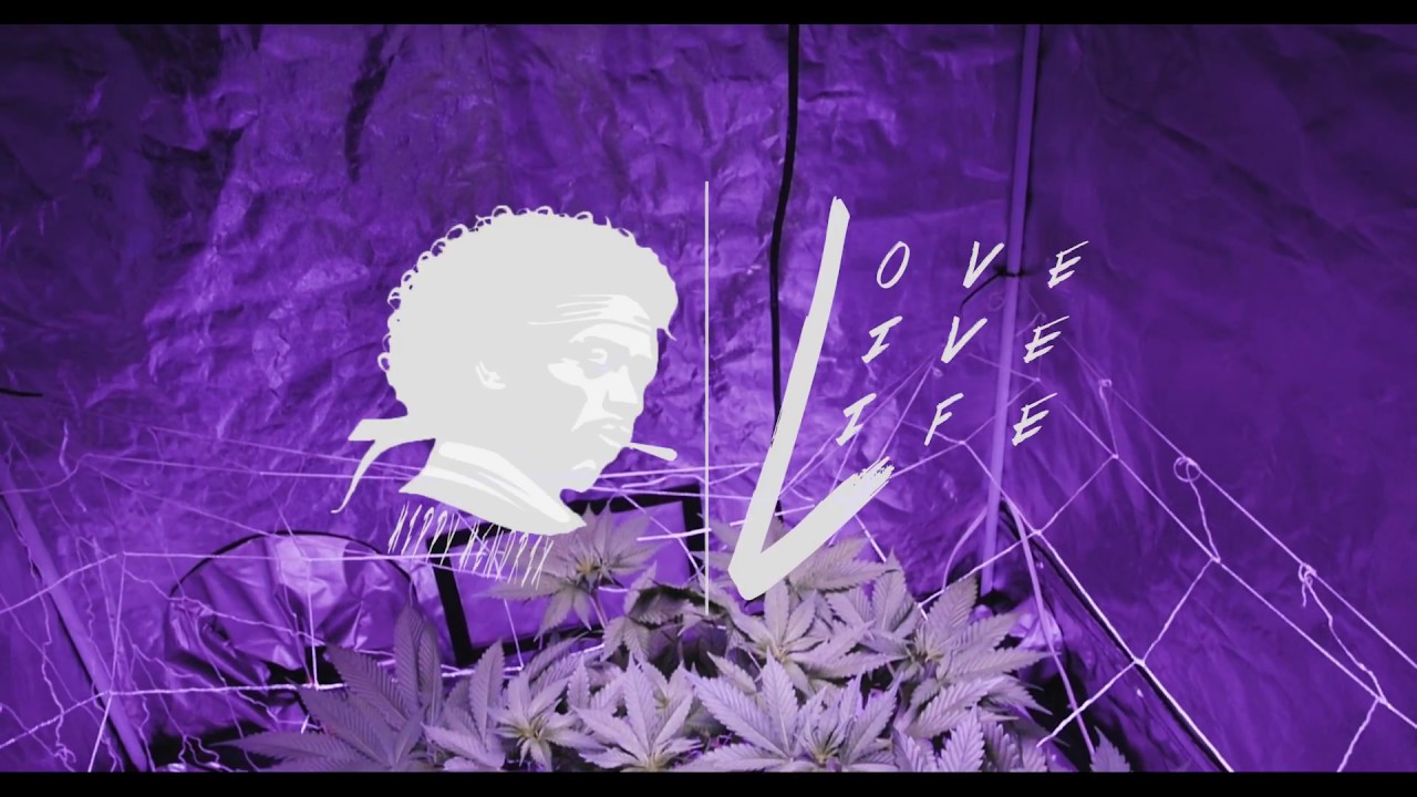PU420Lounge | Kush - N Cheese / G13 | Quick Update!!!