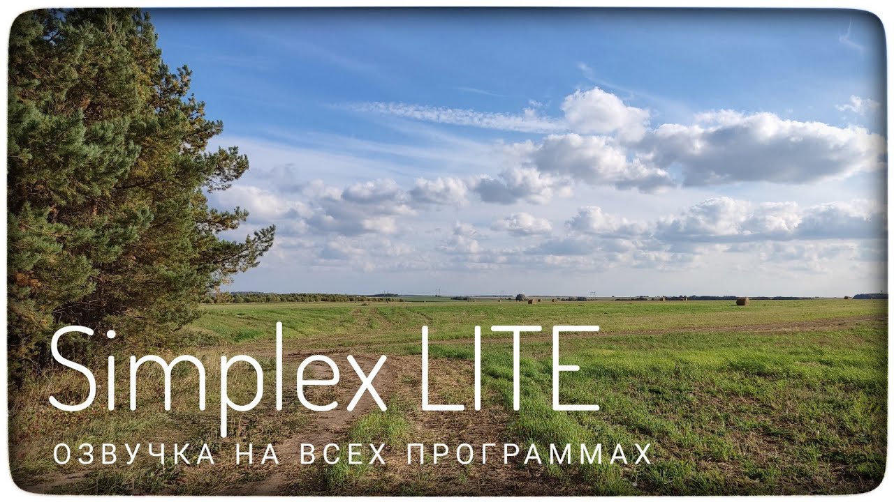 SIMPLEX LITE. Озвучка во всех программах. Как звучит металлоискатель симплекс лайт?