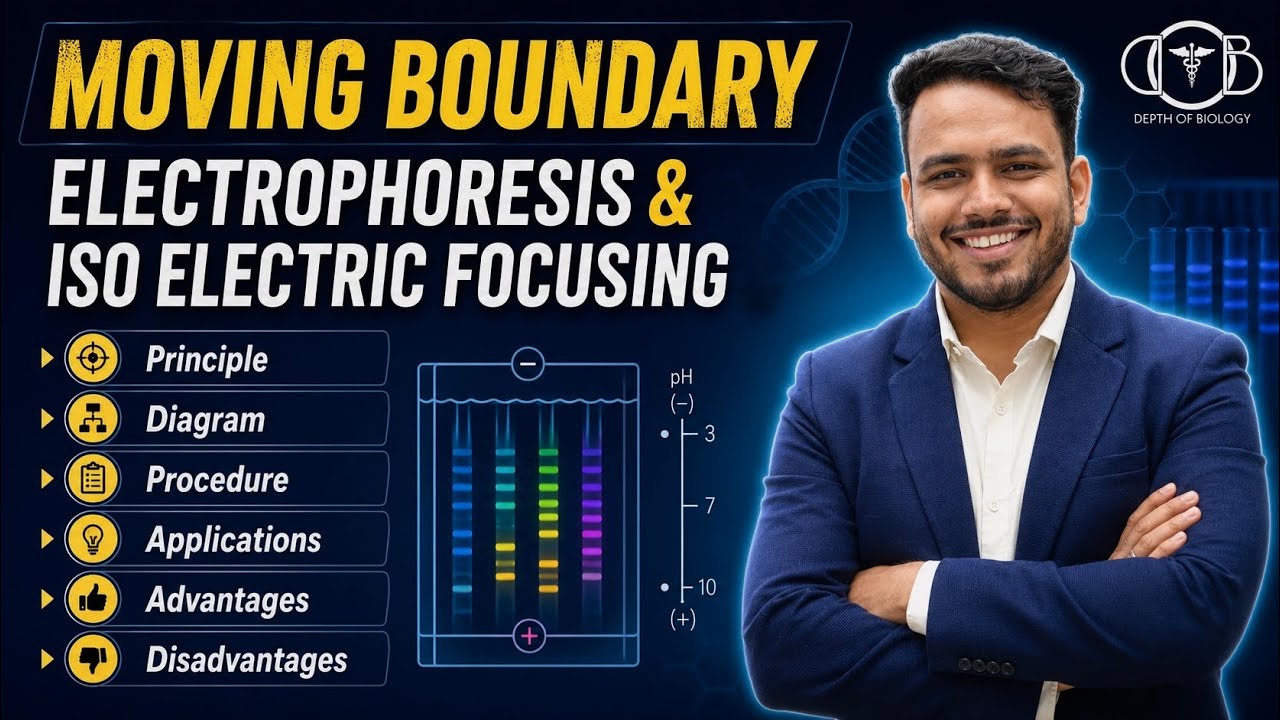 Electrophoresis | Moving Boundary Electrophoresis | Iso Electric Focusing #electrophoresis