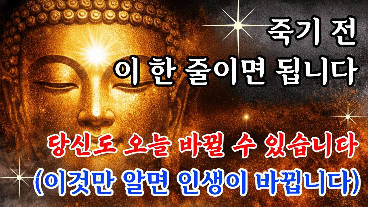 죽기 전 금강경 한 구절만 외우라면 이것입니다, 이걸 몰랐으면 평생 억울할 뻔 했습니다 #금강경 #응무소주이생기심 #불교 #부처님말씀 #마음공부 #인생조언 #명언 #지혜 #불교명상