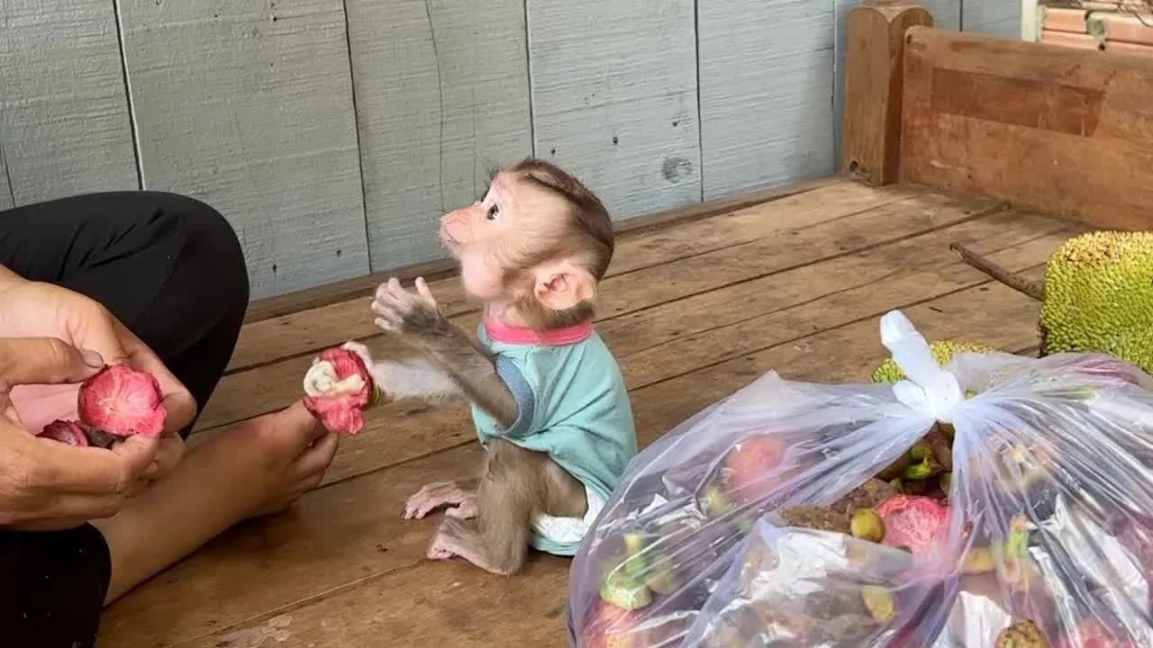 Baby Tori Unboxing Big Package Of Fruit & Eat So Yummy