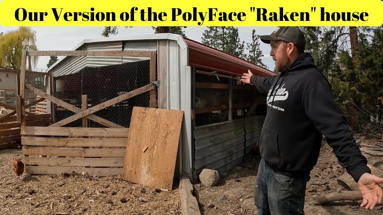 Наша версия дома Polyface 