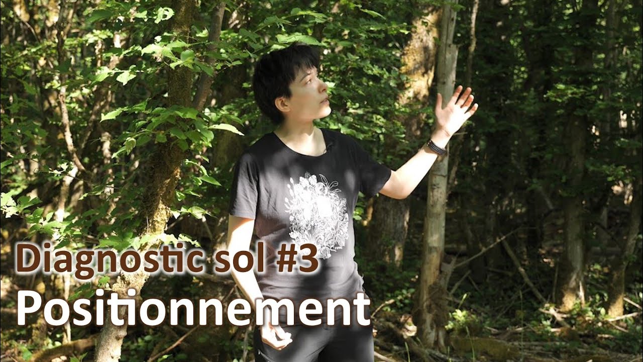 Diagnostic sol #3 | Positionnement