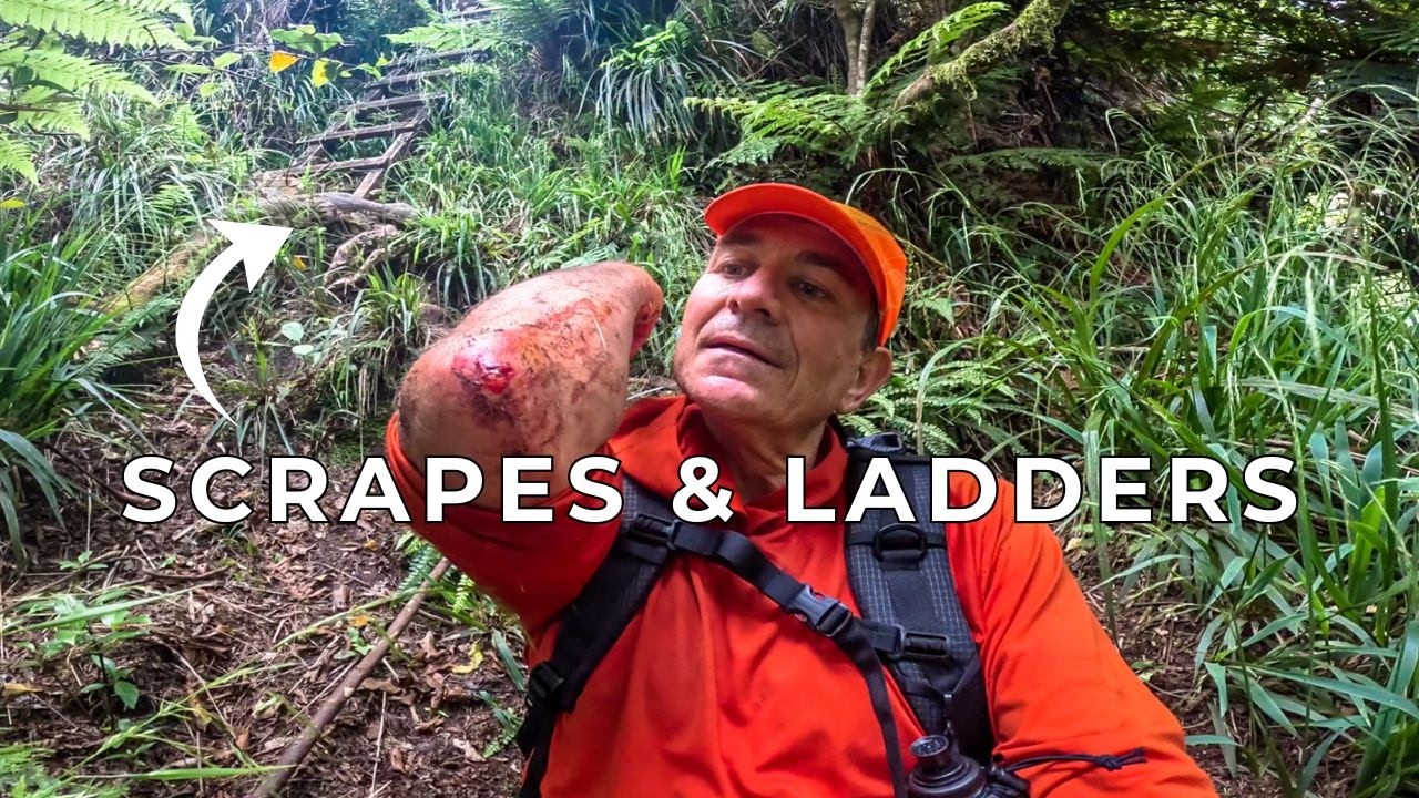 Solo Hiking Kaimai Ranges New Zealand - day 2
