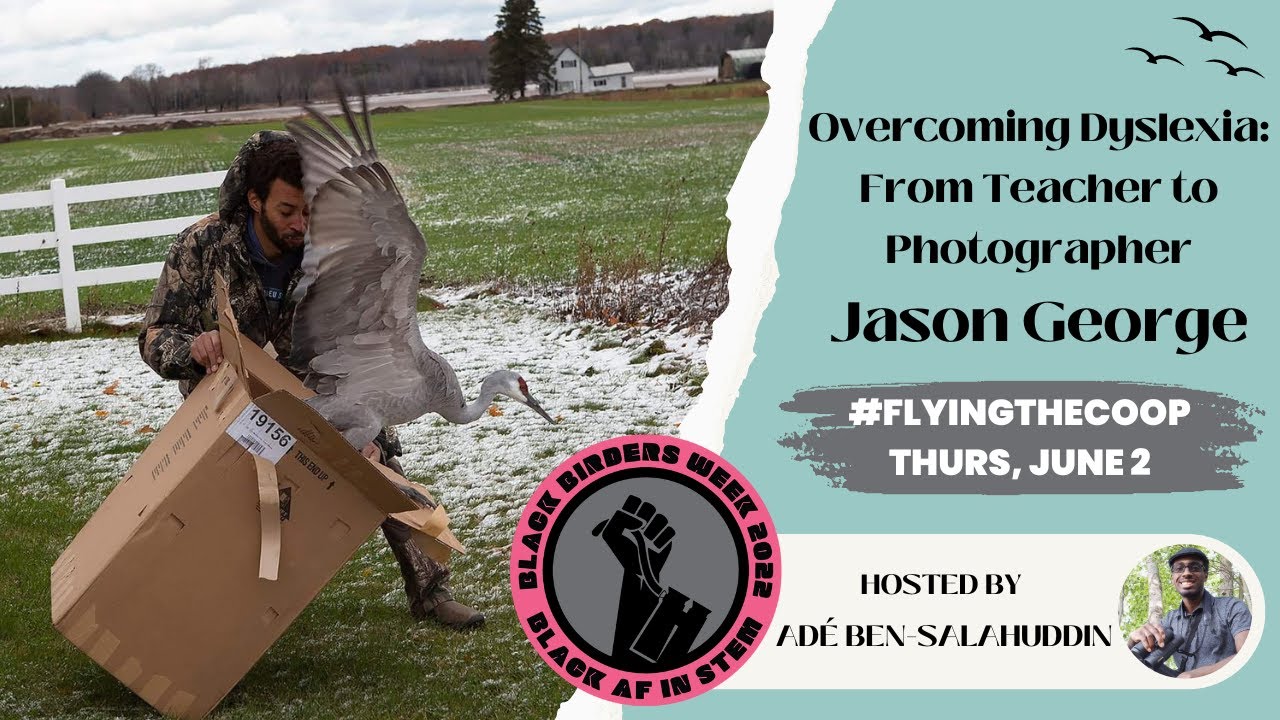 Overcoming Dyslexia: From Teacher to Photographer with Jason George | Black Birders Week 2022