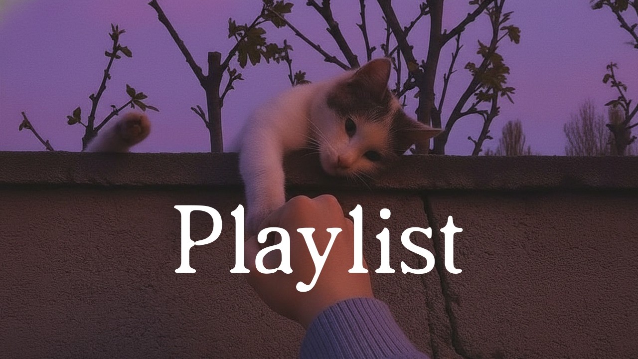 𝑳𝒐𝒇𝒊 𝑷𝒍𝒂𝒚𝒍𝒊𝒔𝒕 ; 다시 또 바쁘게 살아가야 할 때