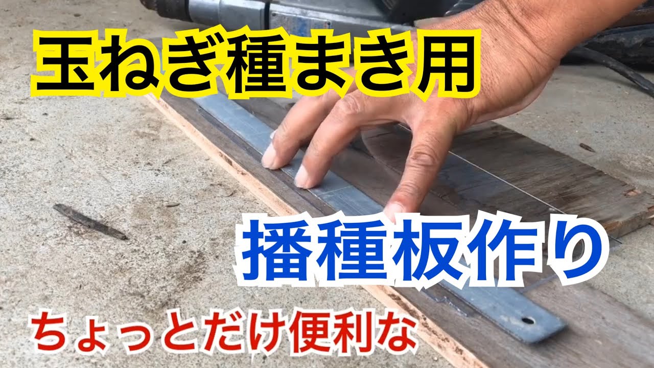 玉ねぎ 種まき用簡易播種板制作