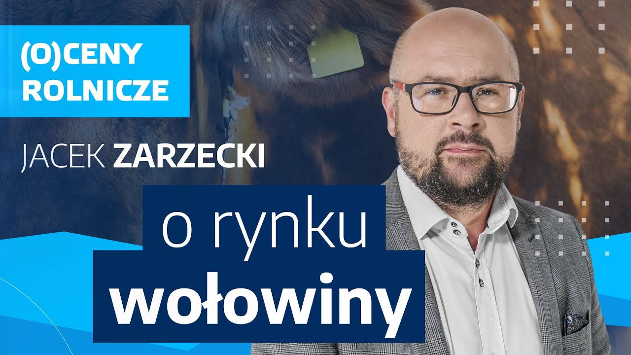 (O)ceny rolnicze. Rynek wołowiny. Jacek Zarzecki: importerzy wołowiny wracają do zakup&oacute;w