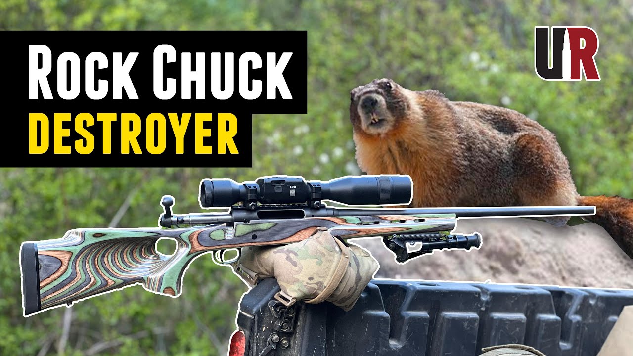 Varmint Annihilator: DIY Facelift for a 223 Budget Rifle (Savage Axis, Boyds Stock, ATN X-Sight 5)