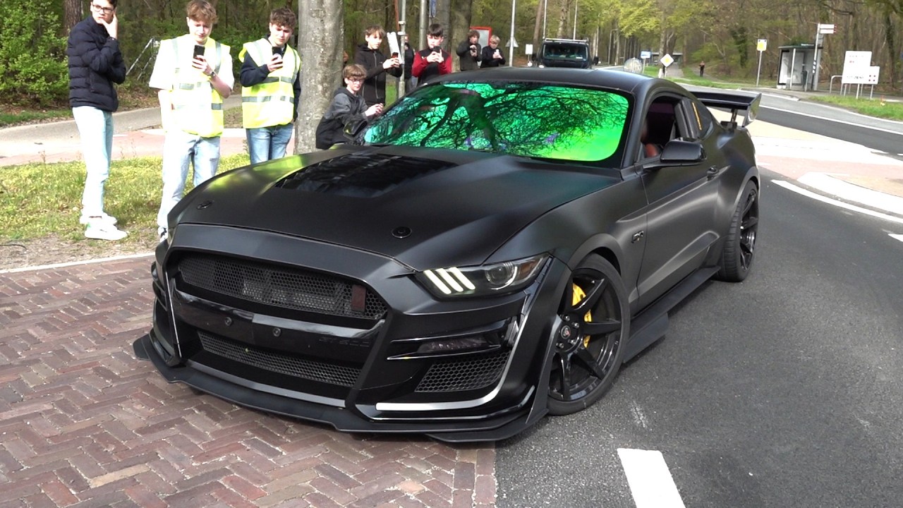 BEST OF FORD MUSTANG SOUNDS! Mustang GTD, Shelby GT500, Mach 1, GT V8, Alphamale Widebody, Roush GT