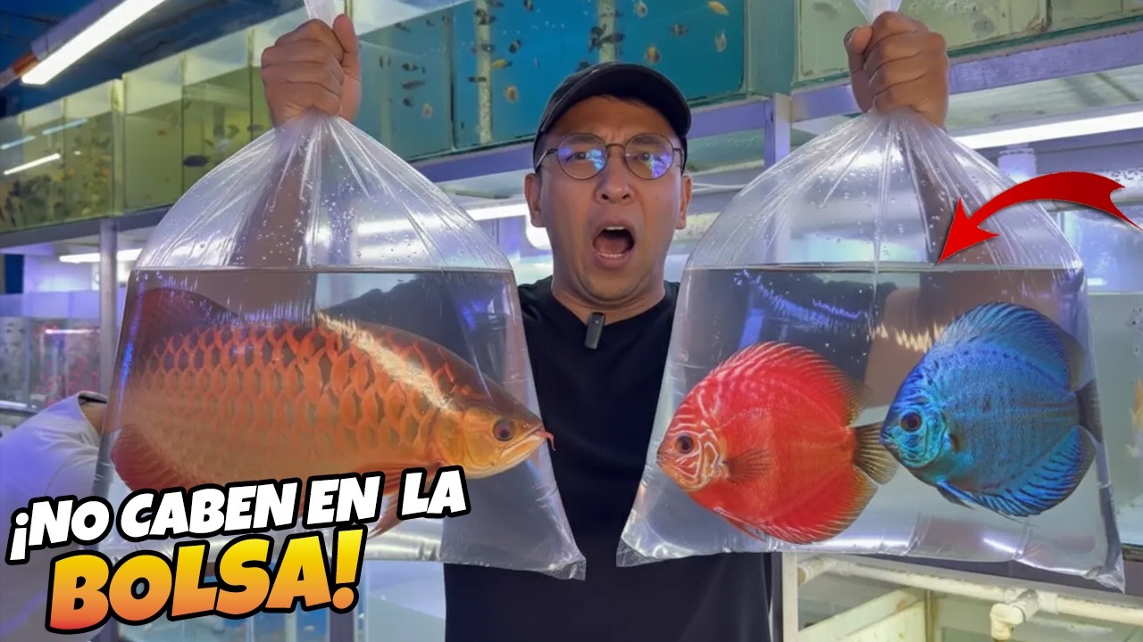 Secretos del Mercado de la Morelos: La bodega de Don Fernando.