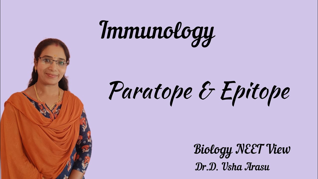 Difference between Paratope & Epitope (Immunology)