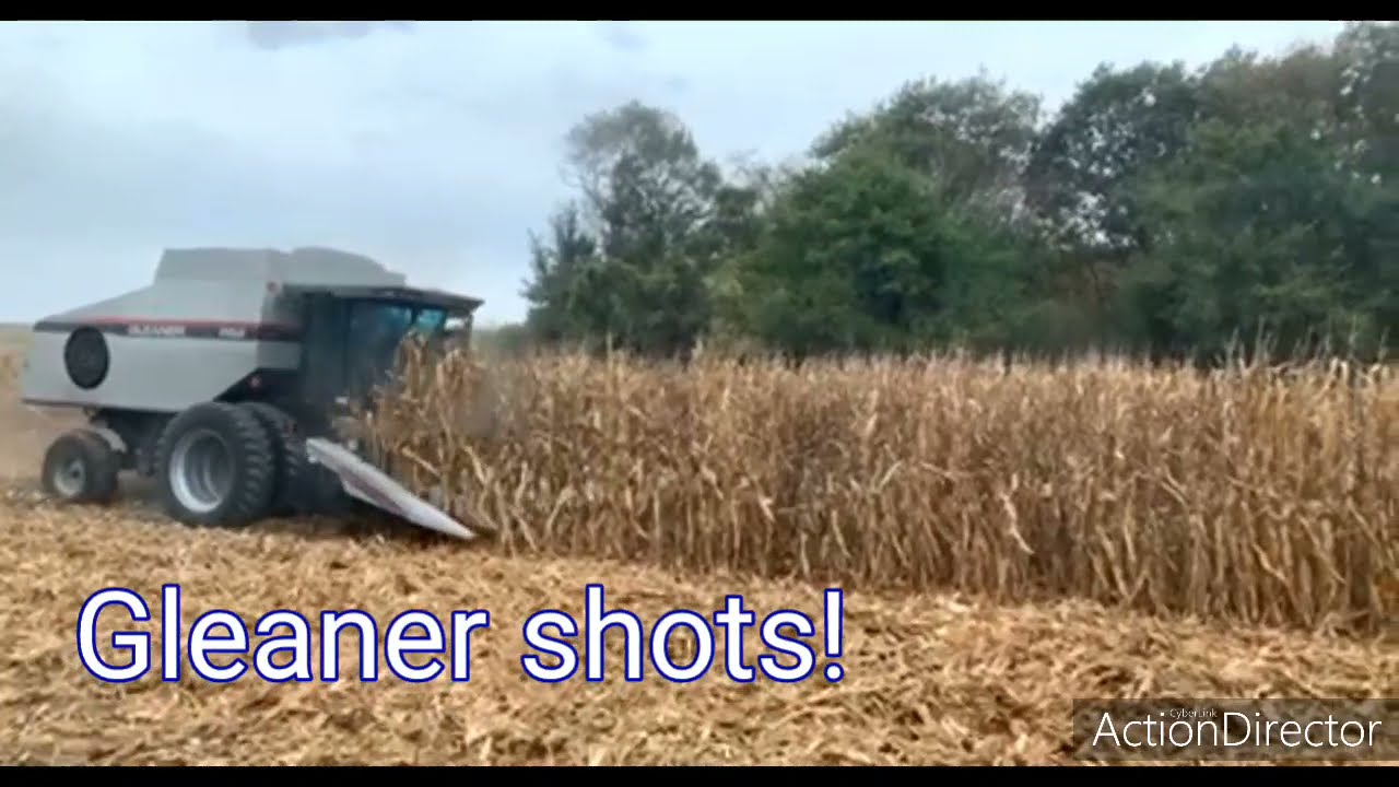 R62 Gleaner 2021 harvest
