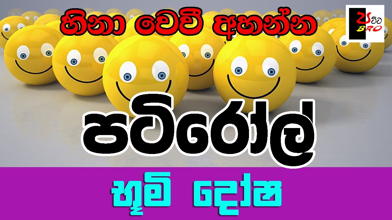 PATIROLL | පටිරෝල් | භූමි දෝෂ | Patta bro