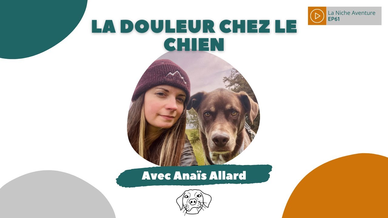 EP61 : Anaïs Allard - La douleur chez le chien