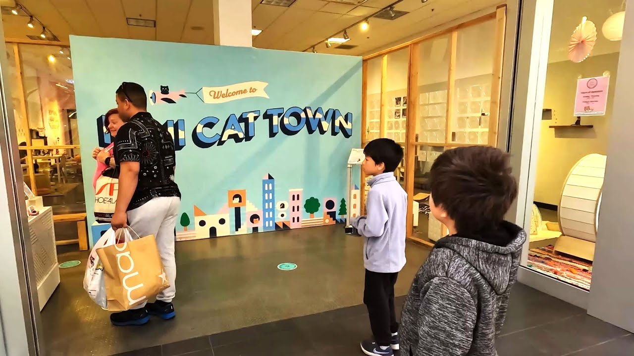 Mini Cat Town