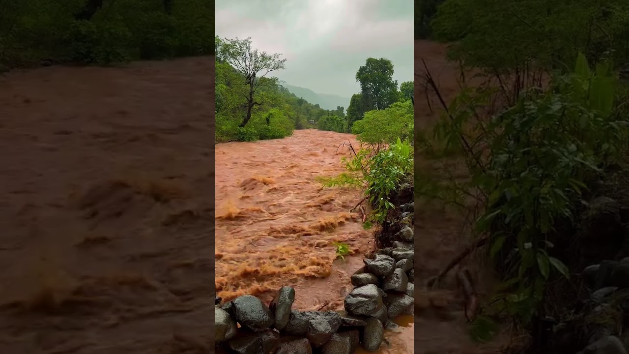 Climate Change or Nature's Fury? Assam Flood Explained
