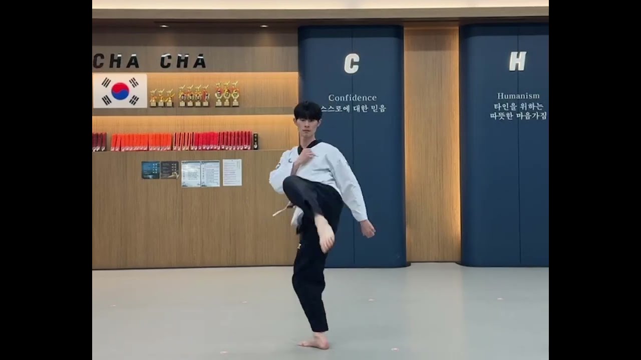 차차차 질풍가도 태권체조