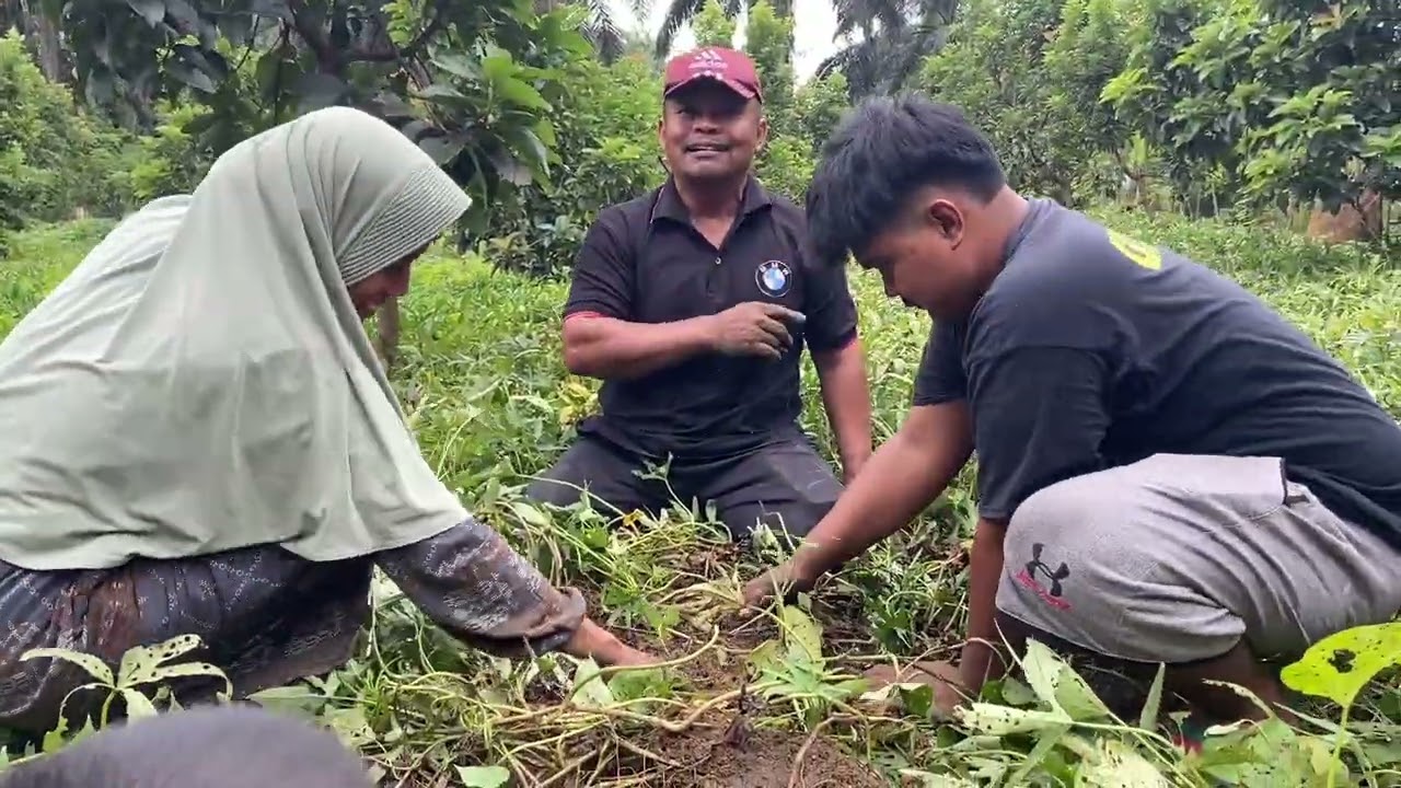 KALIAN GAK AKAN PERCAYA‼️ PAS DIGALI ADA BONGKAHAN...