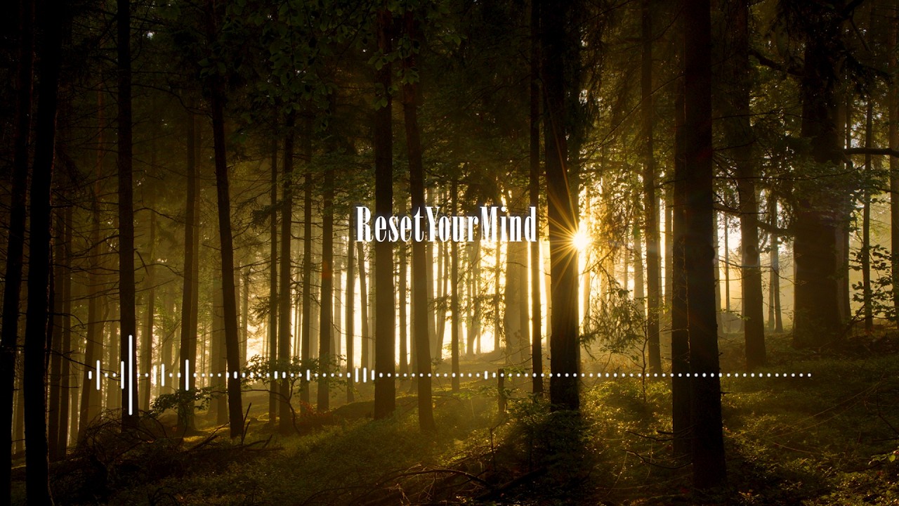 Reset Your Mind  // A Meditative Atmosphere at Sunset | With Music Spectrum
