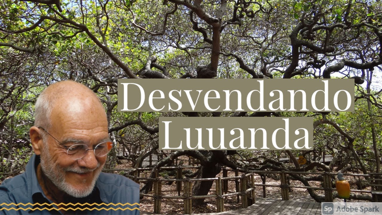Luuanda - Arte e Revolução nos Contos de Luandino Vieira