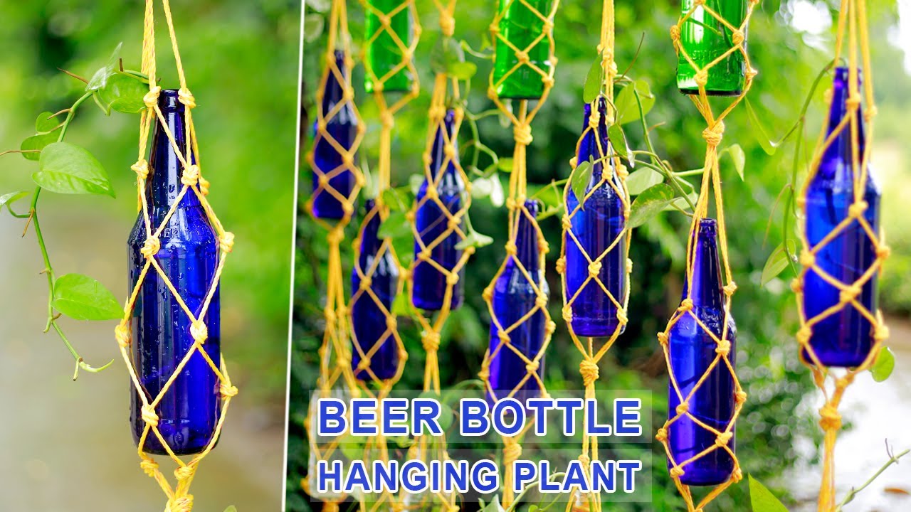 BEER BOTTLE CRAFT | DIY Gardening | Money Plant Hanging Idea