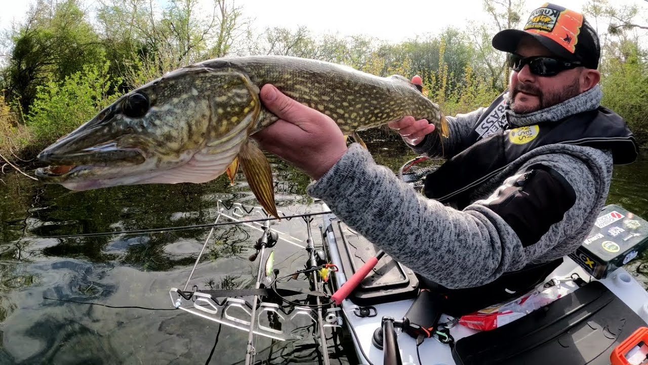 Brochets à vue au Vatalion 115 F (Megabass)