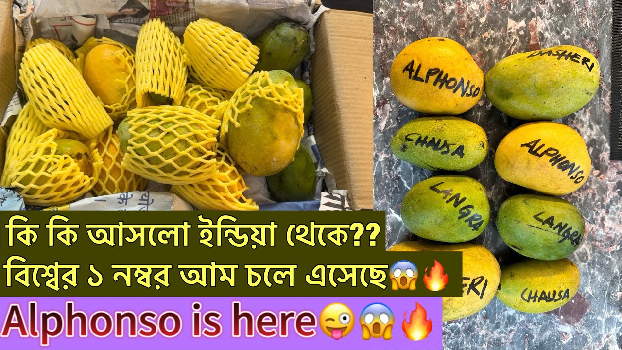 🔥আলফানসো বিশ্বের ১ নম্বর আম চলে এসেছে🔥World best #alphonsomango is here, lets check #indianmango🔥