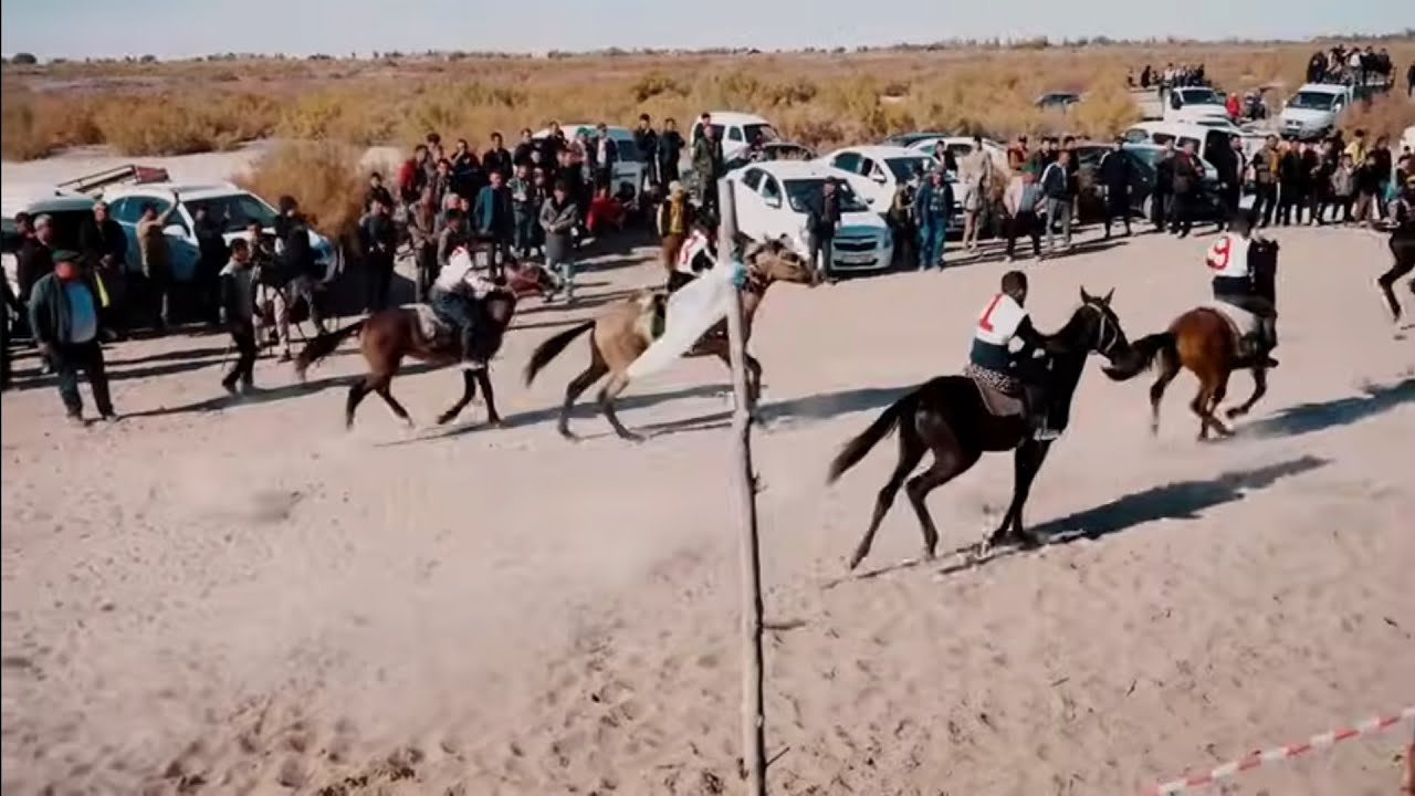 Ат Чапгы ТЕЛМАН
