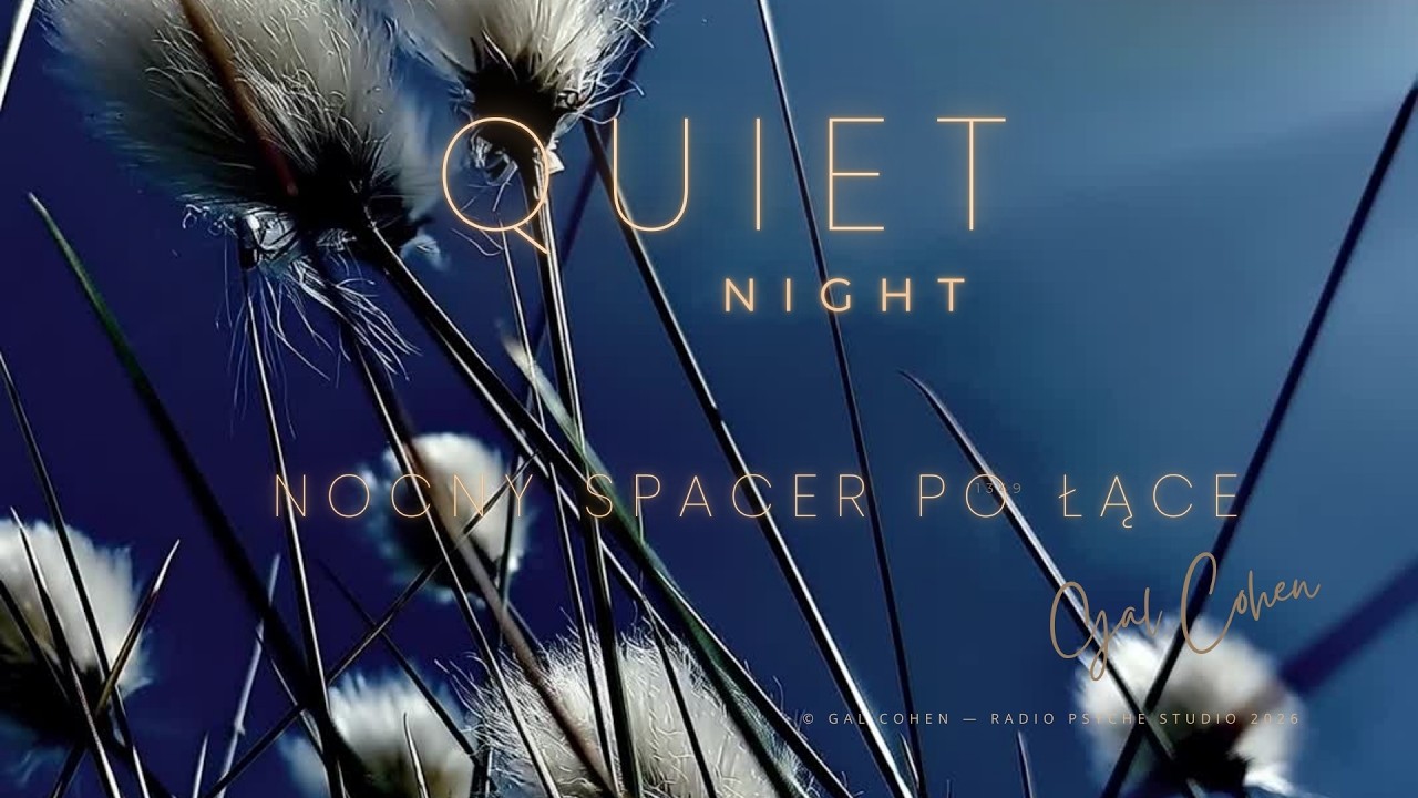 Quiet Nights: Nocny Spacer po Łące 🌙 Calm Night Walk for Sleep & Anxiety