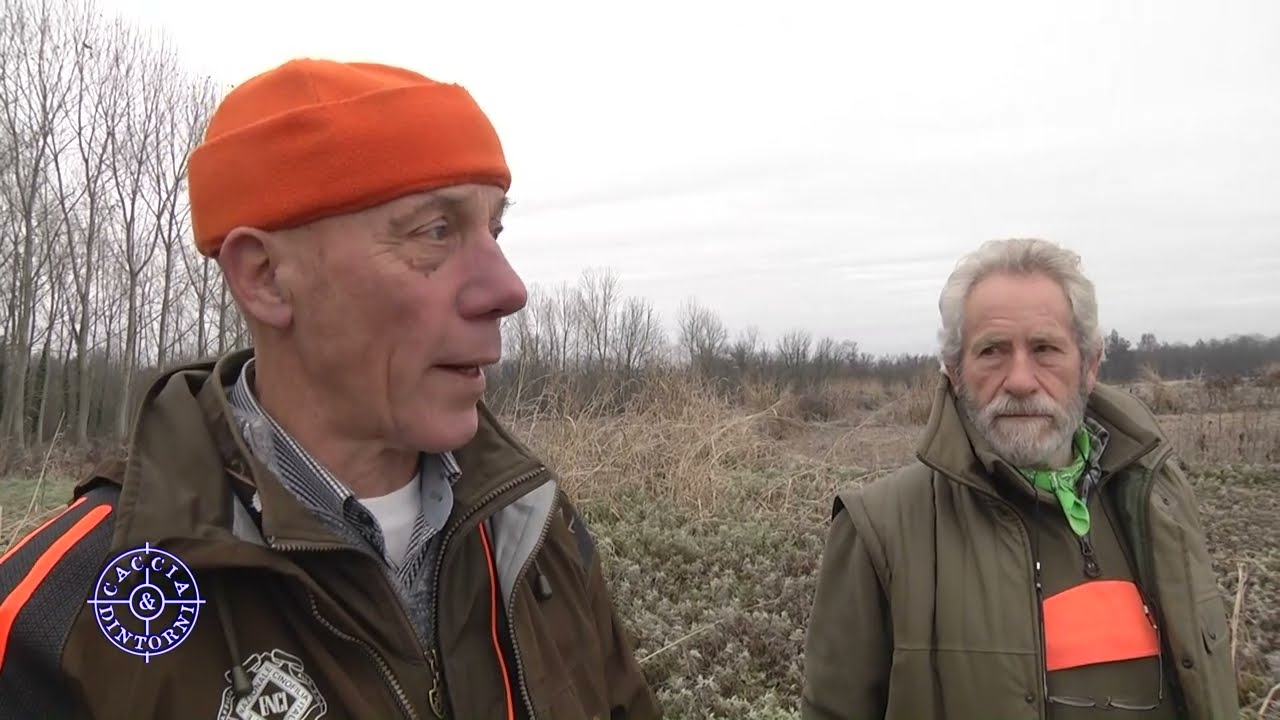Gruppo Cinofilo Biellese - Prova di lavoro alla Baraggia con  con cani da cerca