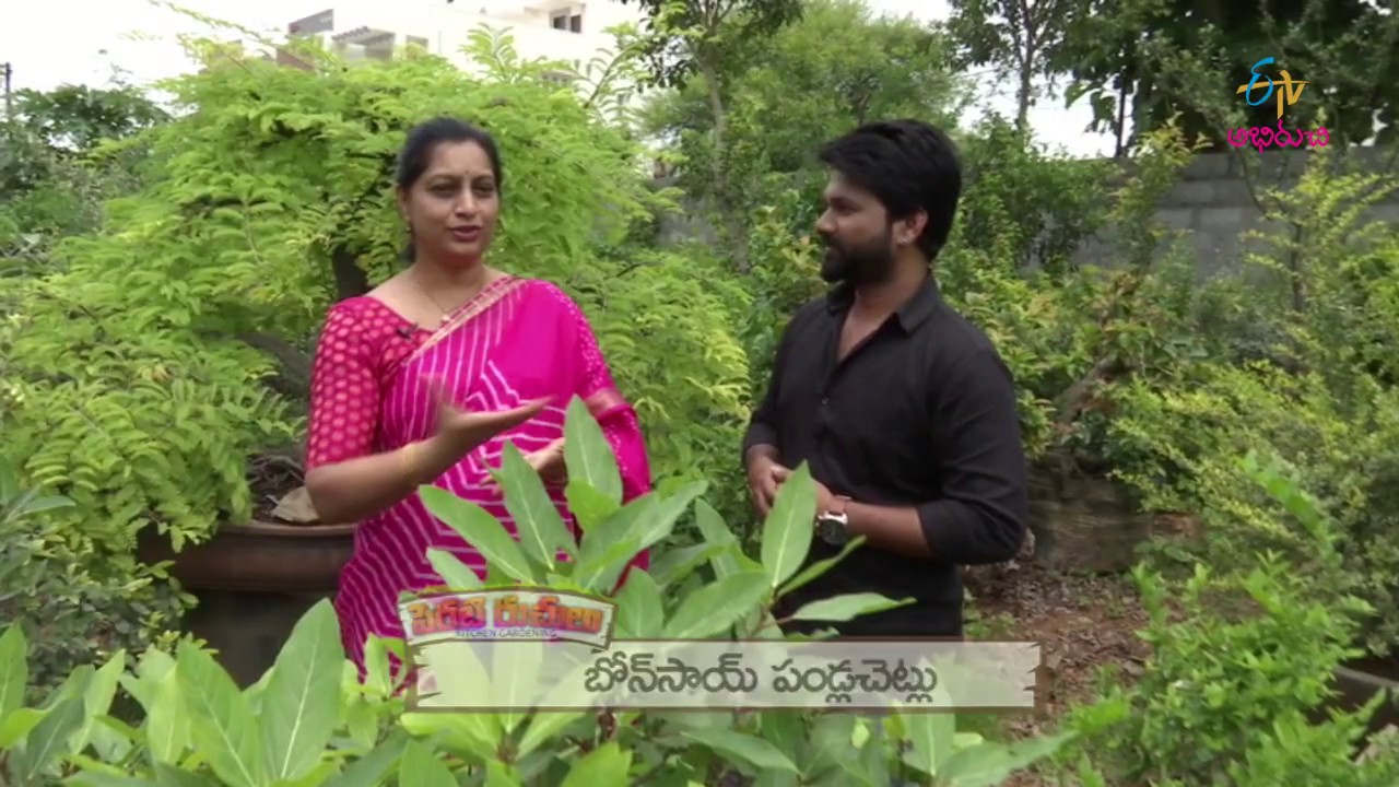 Kitchen Gardening | Perati Ruchulu | 10th August 2017 | Full Episode | ETV Abhiruchi
