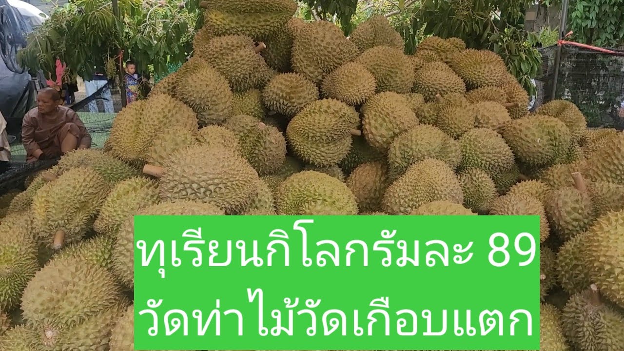 ทุเรียนกิโลกรัมละ 89 วัดท่าไม้คนเยอะมาก