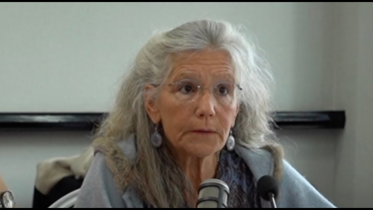 SCHAUB Anne -  Les conséquences psy de la gestation pour autrui pour l'enfant (GPA /surrogacy)