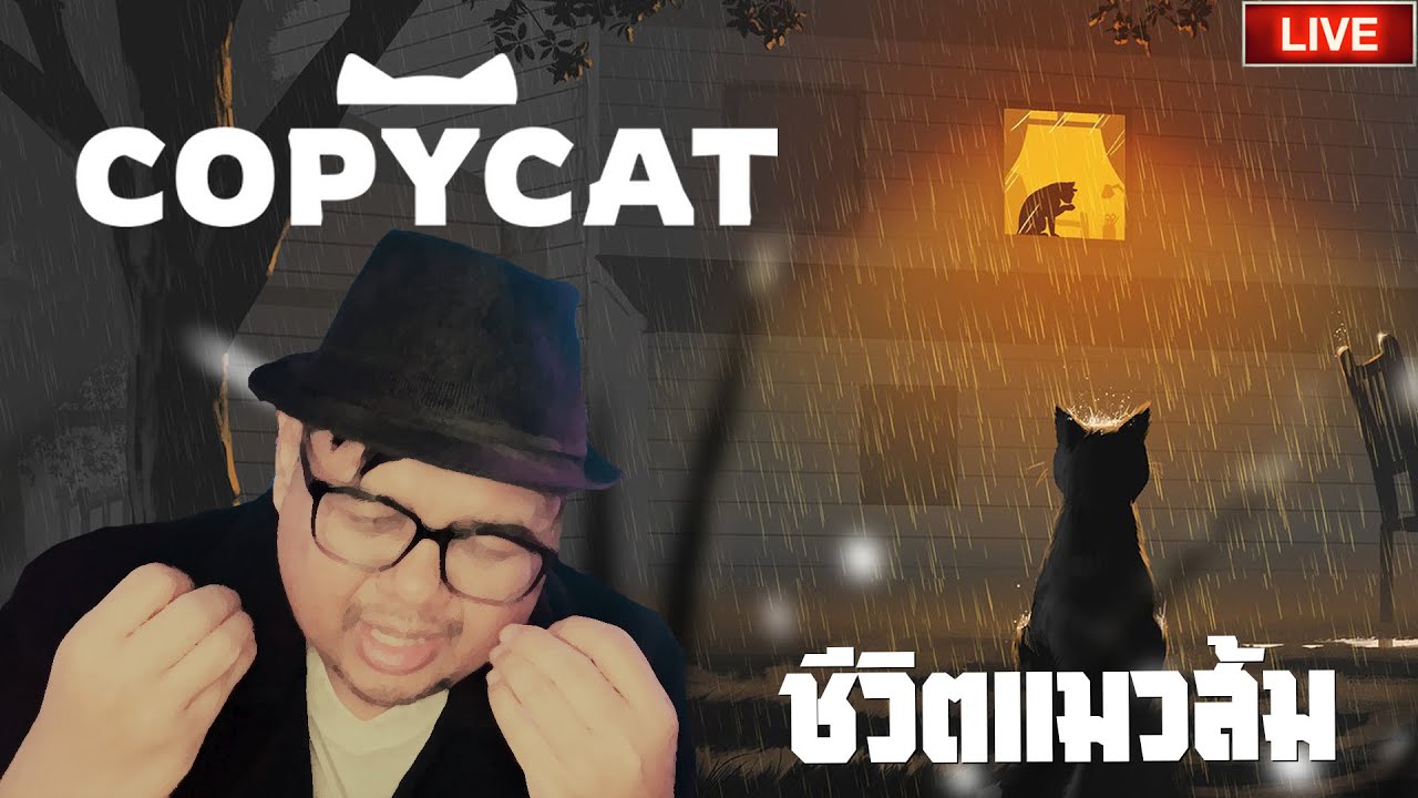 🔴 สายลับใช้ชีวิตเป็นแมวเป้า จะเศร้าไปไหม!? | Copycat