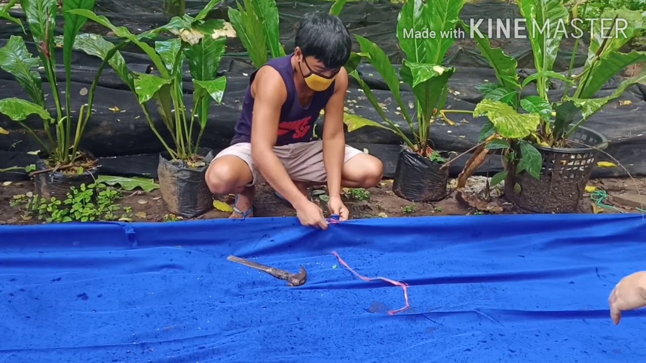 Tutorial - Geena Cloth Worm Bed Preparation