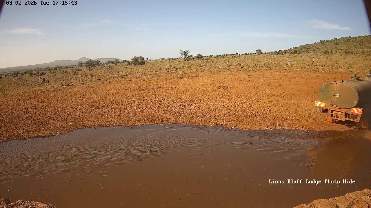 Lions Bluff Lodge Photo Hide - Live Stream