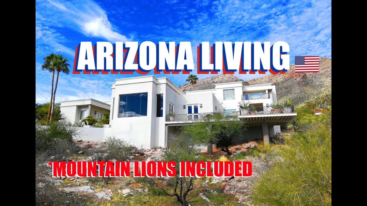 Living In Arizona: Pros And Cons And Mountain Lion Attacks
